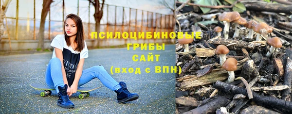 a pvp Алзамай