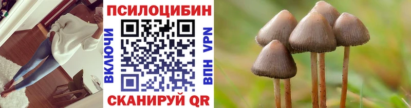 сколько стоит  Лиски  Галлюциногенные грибы Psilocybe 