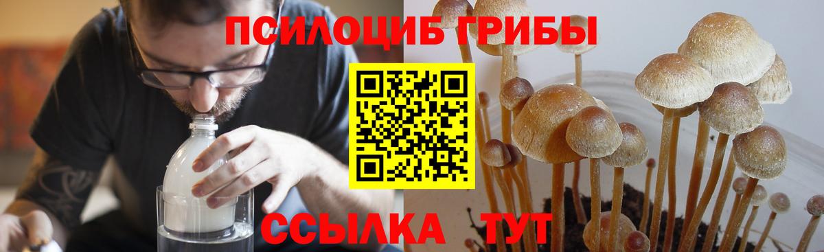 Лиски  Псилоцибиновые грибы GOLDEN TEACHER  Галлюциногенные грибы прущие грибы  Вход с VPN 